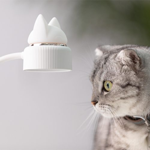 cat whinat lamp pince chevet lit buro chat