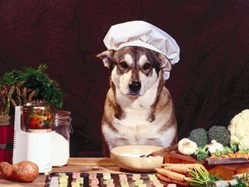 menus semaine chien cuisto cuisinier toque recette carotte